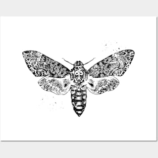 Moth Posters and Art